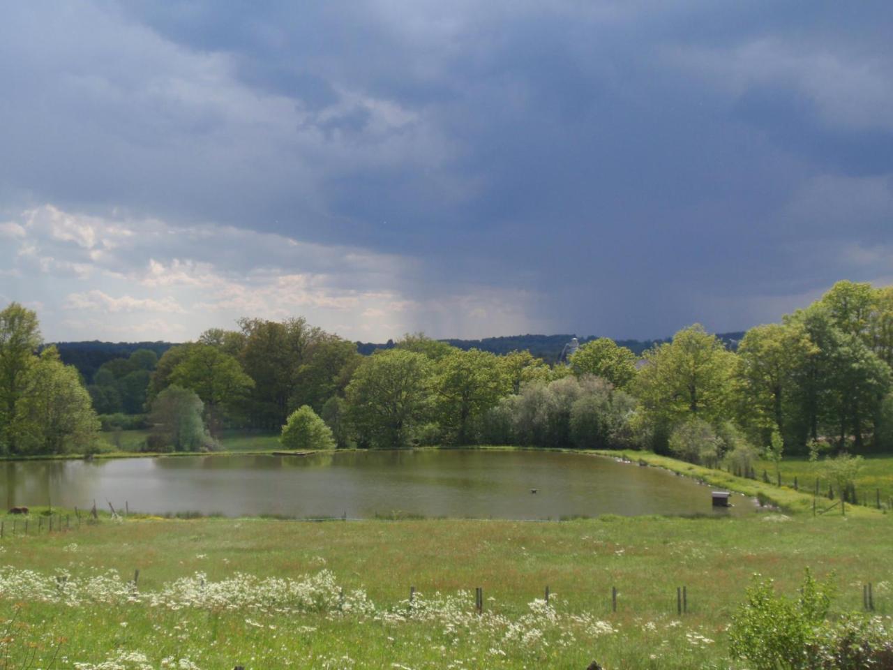 Domaine Des Pecheries Montel-de-Gelat Exterior foto