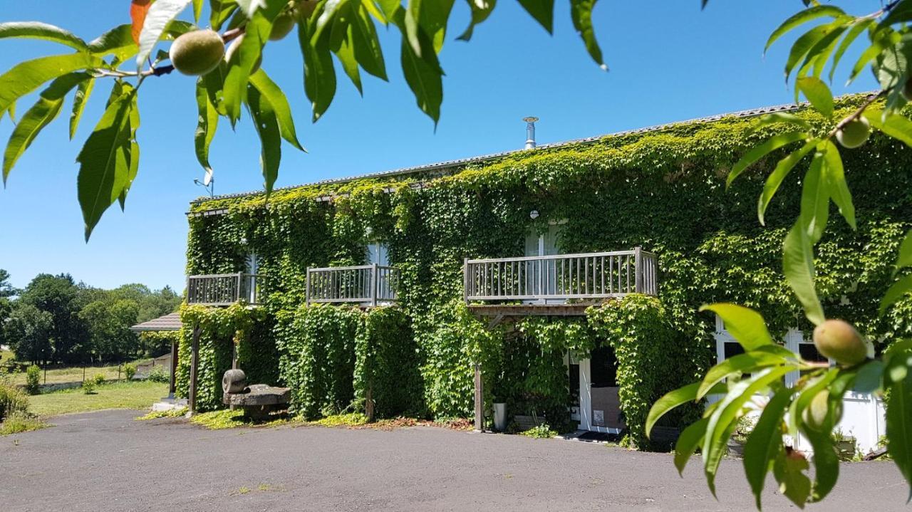Domaine Des Pecheries Montel-de-Gelat Exterior foto
